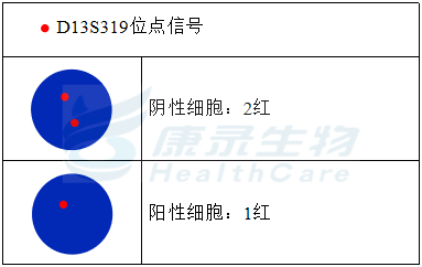 中国·拉斯维加斯(3499·官方认证)网站-Officialwebsite